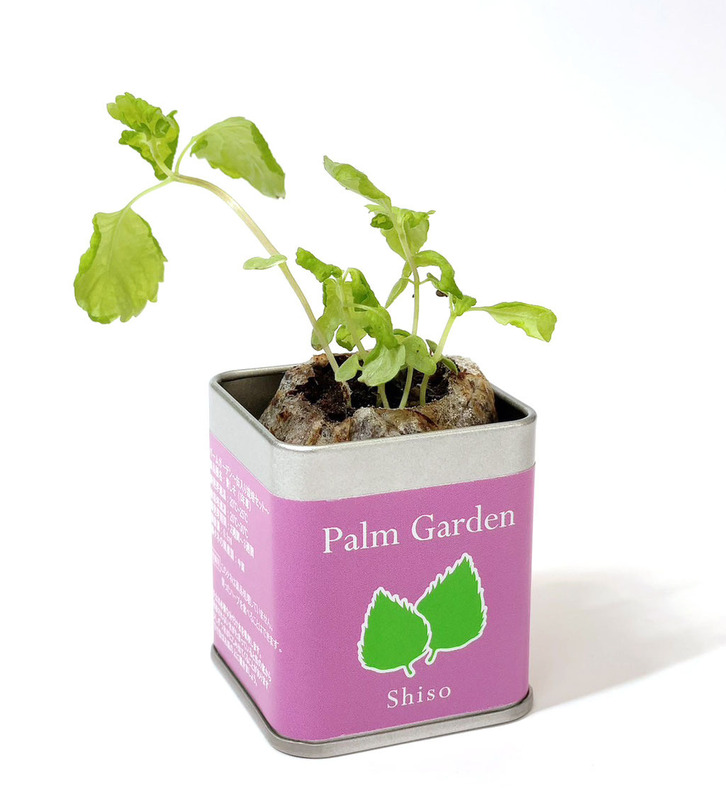 45角栽培セット パームガーデン 4