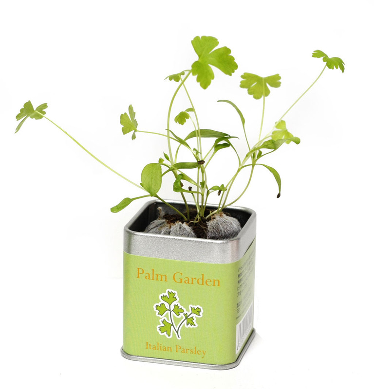 45角栽培セット パームガーデン 9