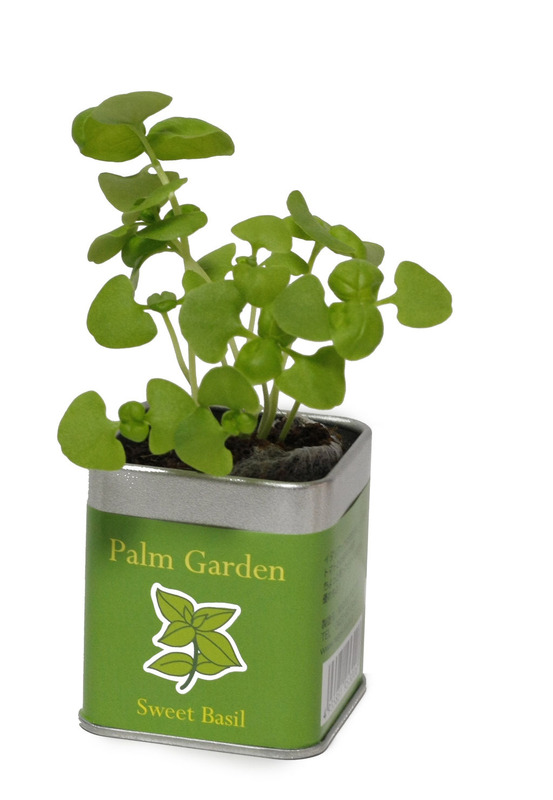 45角栽培セット パームガーデン 10