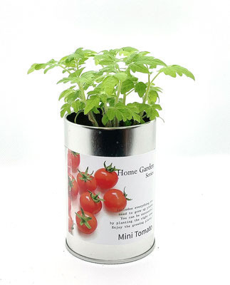 ホームガーデン 7