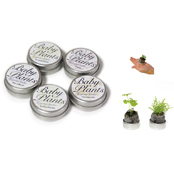 40Φ 丸缶栽培セット ベビープランツ 40Φ 丸缶栽培セット ベビープランツ