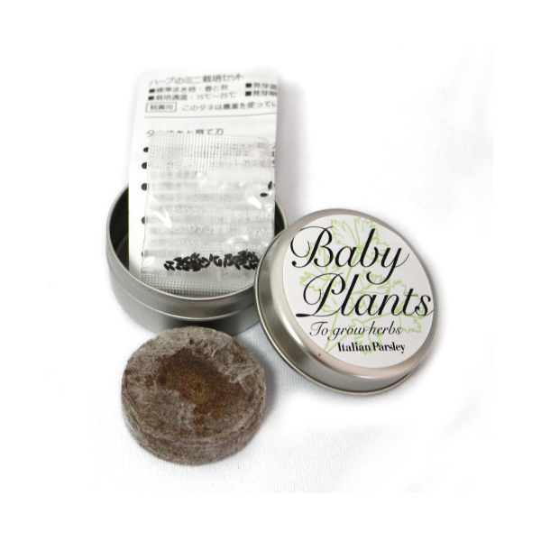 40Φ 丸缶栽培セット ベビープランツ 11