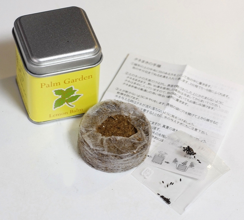 45角栽培セット パームガーデン 3