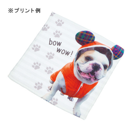 ソフトタッチミニタオル ホワイト 3