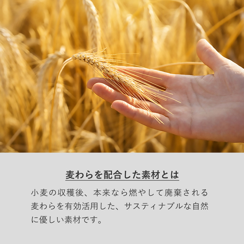 カトラリーセット麦わら入タイプミニ(3点) 5