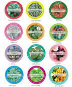 83Φ 丸缶栽培セット ニューリトルガーデン 83Φ 丸缶栽培セット ニューリトルガーデン