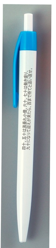 40~50文字名入れ可能 たくさん名入れができるペン 2